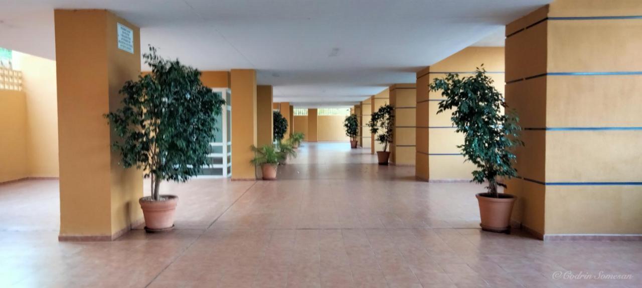 Cozy Overlooking Estepona's Marina! Apartament *